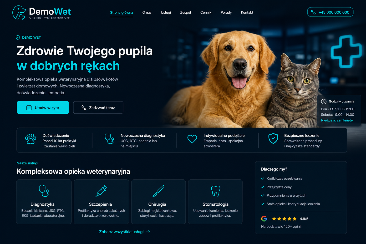 DemoWet - podgląd strony